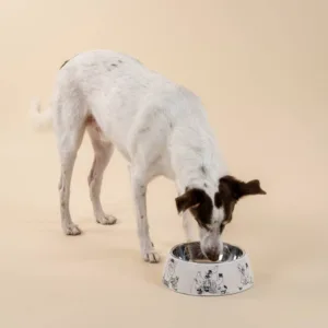 Miseczka Moomin for Pets 80-lecie (L) Muurla